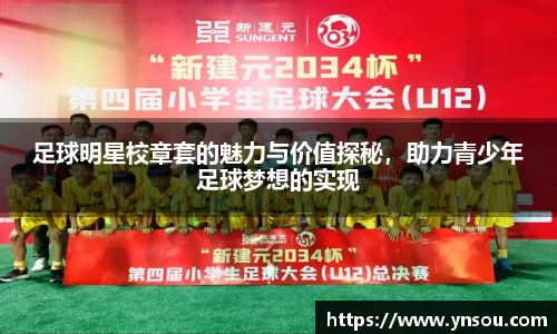 足球明星校章套的魅力与价值探秘，助力青少年足球梦想的实现